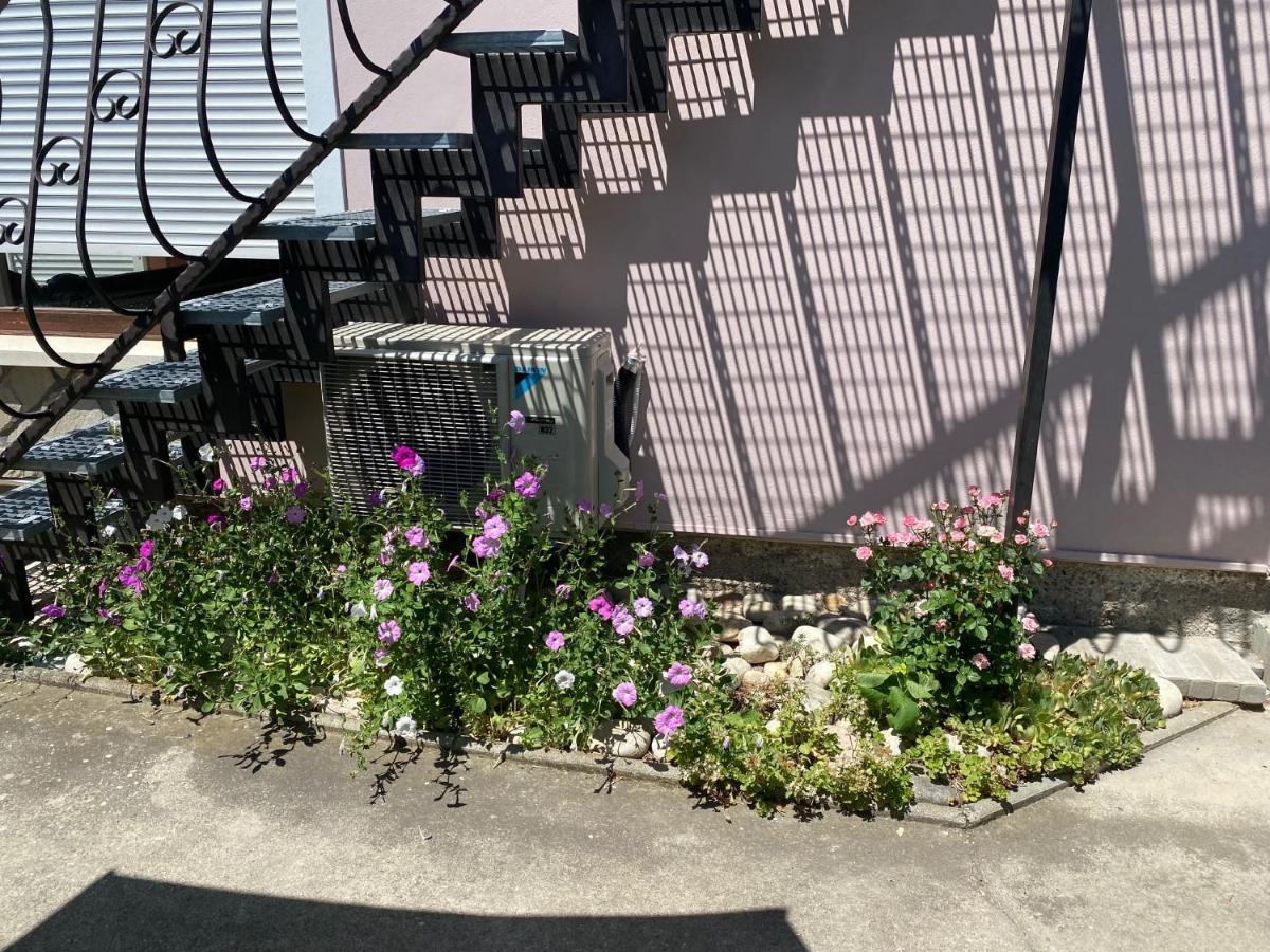 Do-Ti Apartmanhaz 巴拉通雷勒 外观 照片
